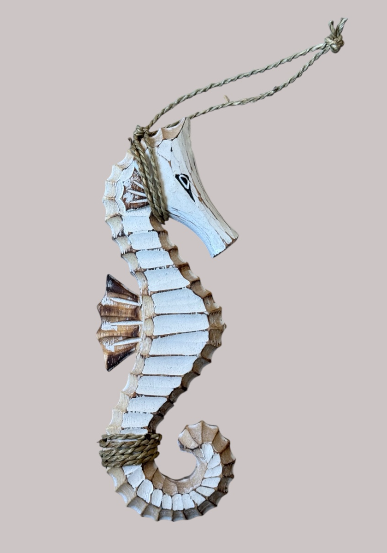 CABALLO DE MAR 30CM & ESTRELLA DE MAR 30CM