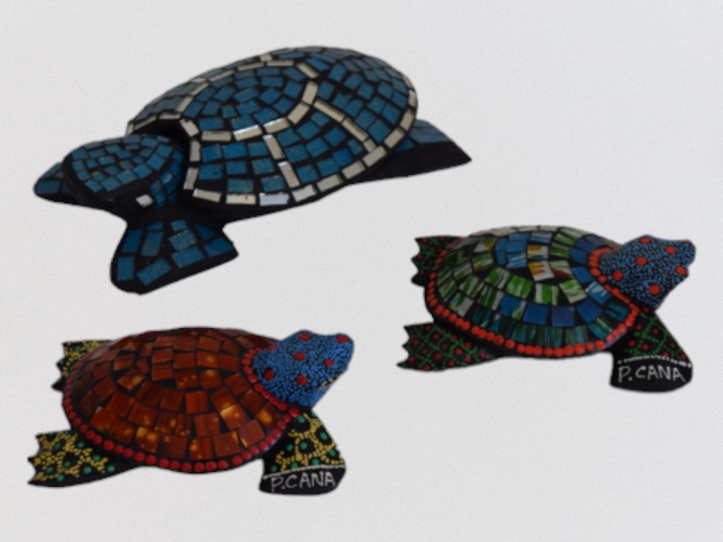 TORTUGA MOSAICO & TORTUGA CARACOLES