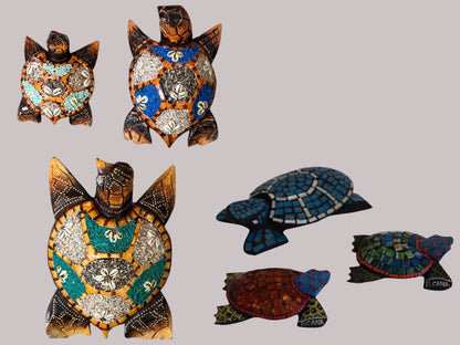 TORTUGA MOSAICO & TORTUGA CARACOLES